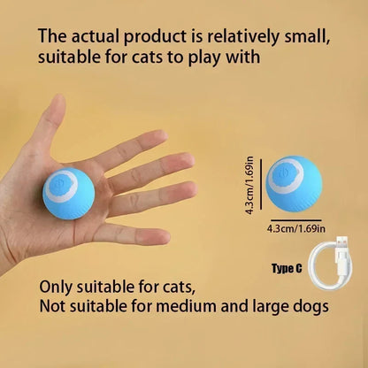 Indoor Cat Interactive Ball