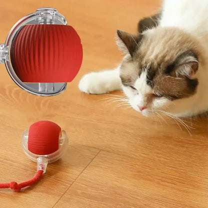 Indoor Cat Interactive Ball