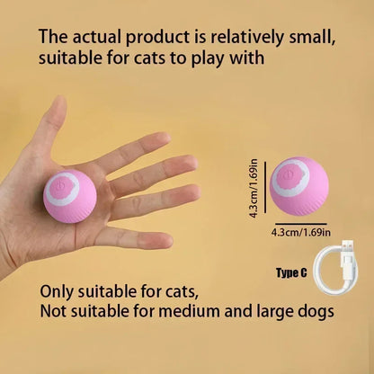 Indoor Cat Interactive Ball